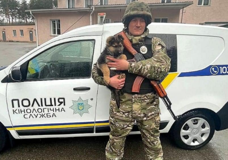 Предупреждает от угрозе: щенок по кличке Байрактар стал звездой Нацполиции
