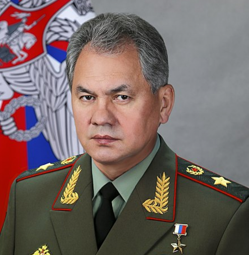 Министра обороны РФ планируют обвинить в попытке госпереворота - журналист