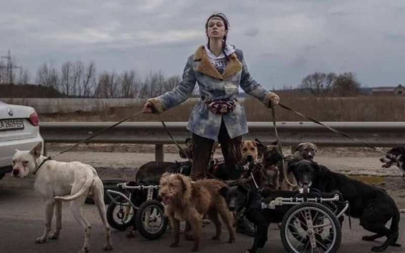 Пожертвовала собой ради спасения собак: душераздирающая история из осажденного Ирпеня