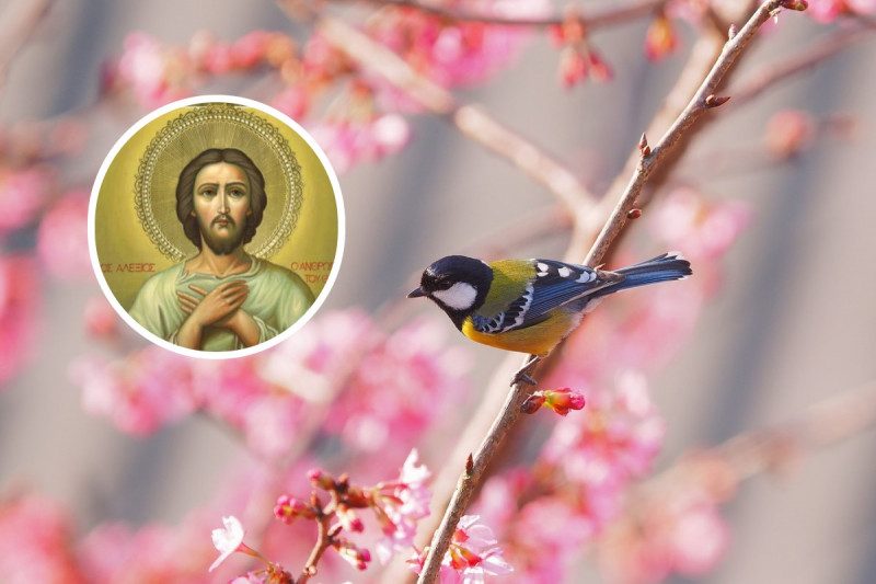 Теплый Алексей 2022 – что делать, чтоб замуж выйти и другие приметы дня