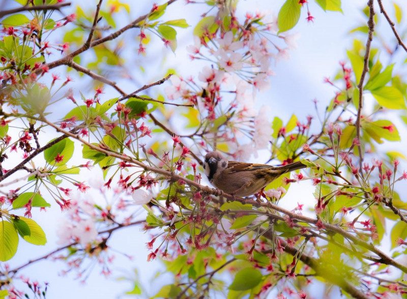 Привлечете удачу и невероятное богатство: приметы на апрель, которые принесут небывалый успех