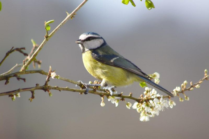Прикмети на 30 березня: що не можна робити в день Теплого Олексія і як не потрапити в біду