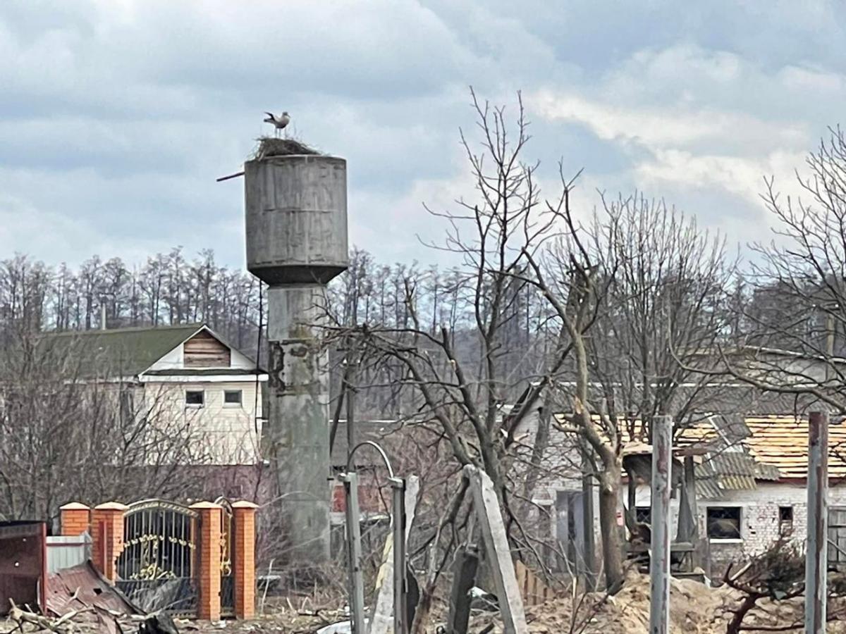 Чернігів після обстрілів російських окупантів Чернігів після обстрілів російських окупантів