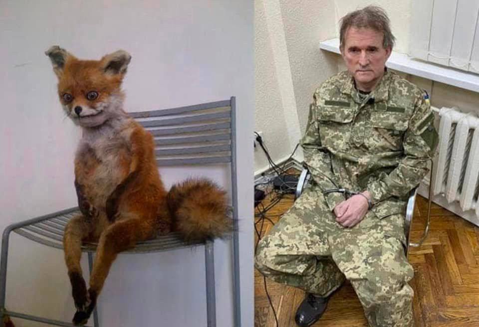 Задержание Медведчука: мемы