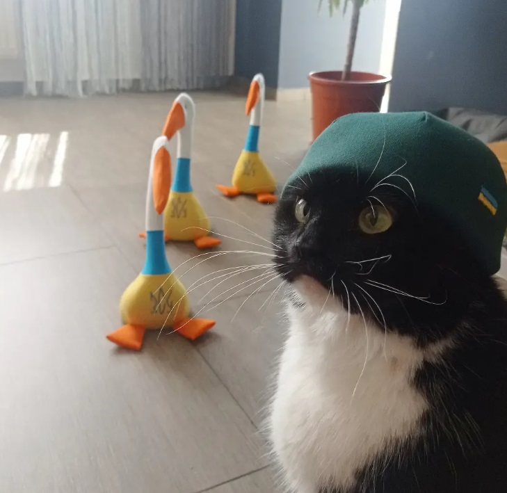 Кіт Бандера Кіт Бандера