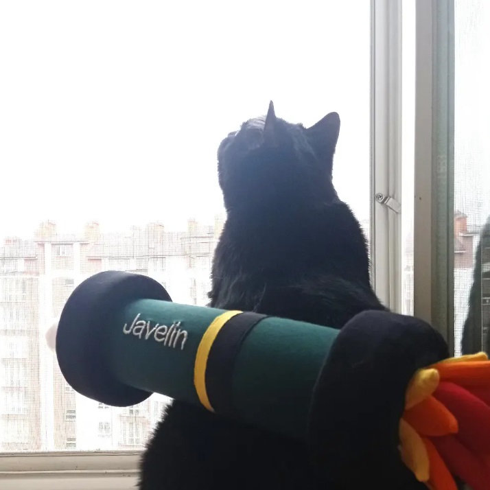 Кіт Бандера Кіт Бандера