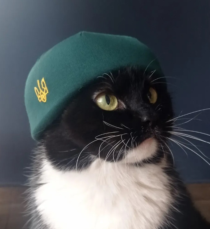 Кіт Бандера Кіт Бандера