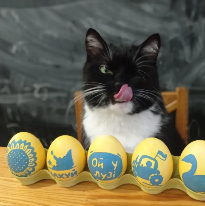 Кіт Бандера Кіт Бандера