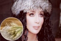 Голодомор після геноциду: Шер звинуватила Путіна у злочинах проти людства