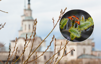 вербное воскресенье, приметы верба, привлечь удачу на вербу,