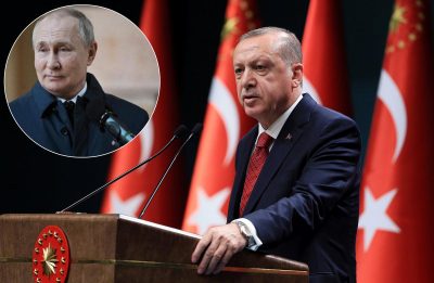 Ердоган їде до Путіна обговорювати припинення вогню в Україні та зерновий коридор