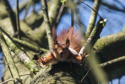 Замість потепління в Україну прийде холод, грози і шквали - прогноз погоди на перші дні травня