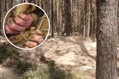 Спотворені обличчя, зв’язані руки: на Київщині знайшли поховання із закатованими людьми