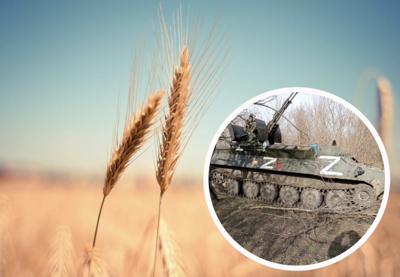 На Херсонщині окупанти чавлять танками і змішують із землею зерно