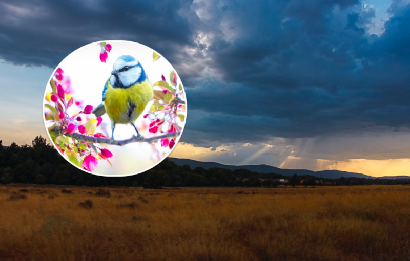 В Украину идет настоящая жара: синоптики назвали дату резкого потепления