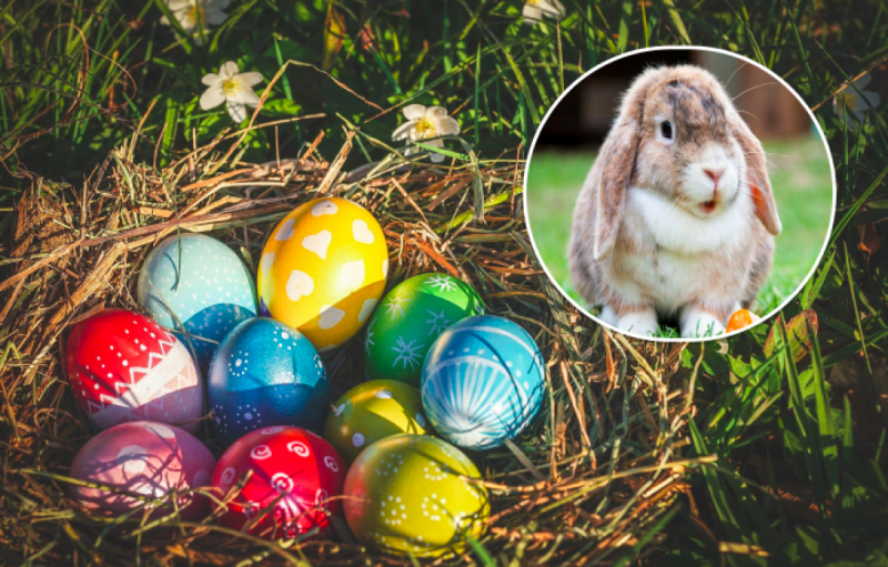 Приметы на 24 апреля: что нельзя делать на Пасху и как не попасть в беду