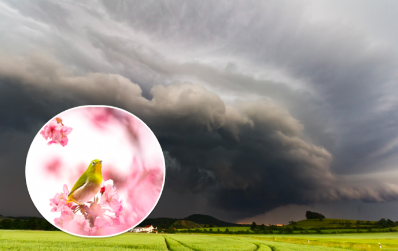 Україну накриє неймовірна спека: синоптики назвали найтепліший день тижня