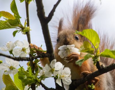 В Україну йде небезпечна погода: синоптик попередив про дощі, грози та заморозки