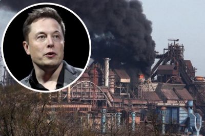 Украинские бойцы попросили о помощи у Илона Маска, чтобы выйти из Азовстали