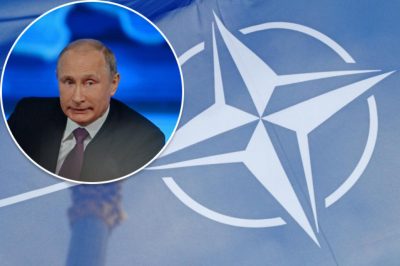 НАТО може знищити режим Путіна, не вступаючи в пряму війну з Росією - Бадрак