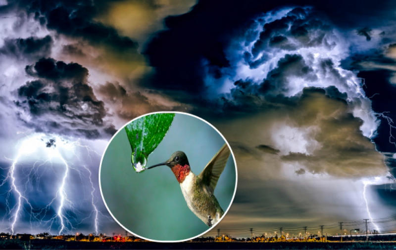 Врежут дожди и будет греметь: синоптики назвали дату опасной погоды