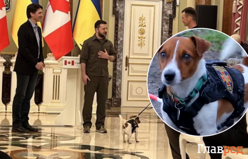 Зеленский наградил Патрона медалью и познакомил знаменитого пса-сапера с Трюдо