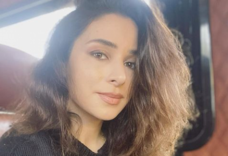 На Злату Огневич накинулися через українську мову в США