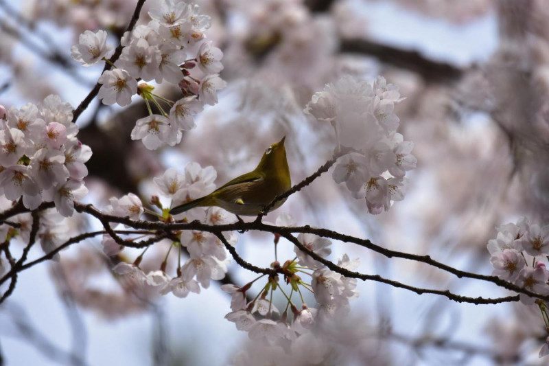 Приметы на 21 мая: что нельзя делать и как не попасть в беду