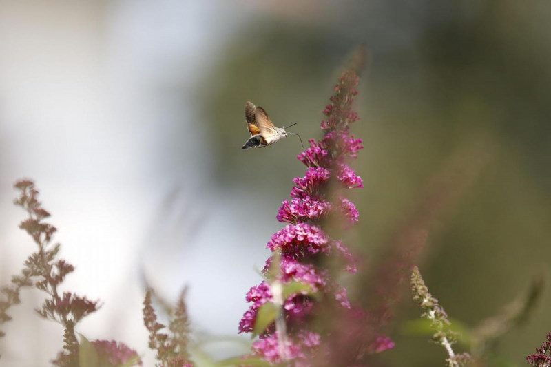 Приметы на 28 мая: что нельзя делать и как не попасть в беду