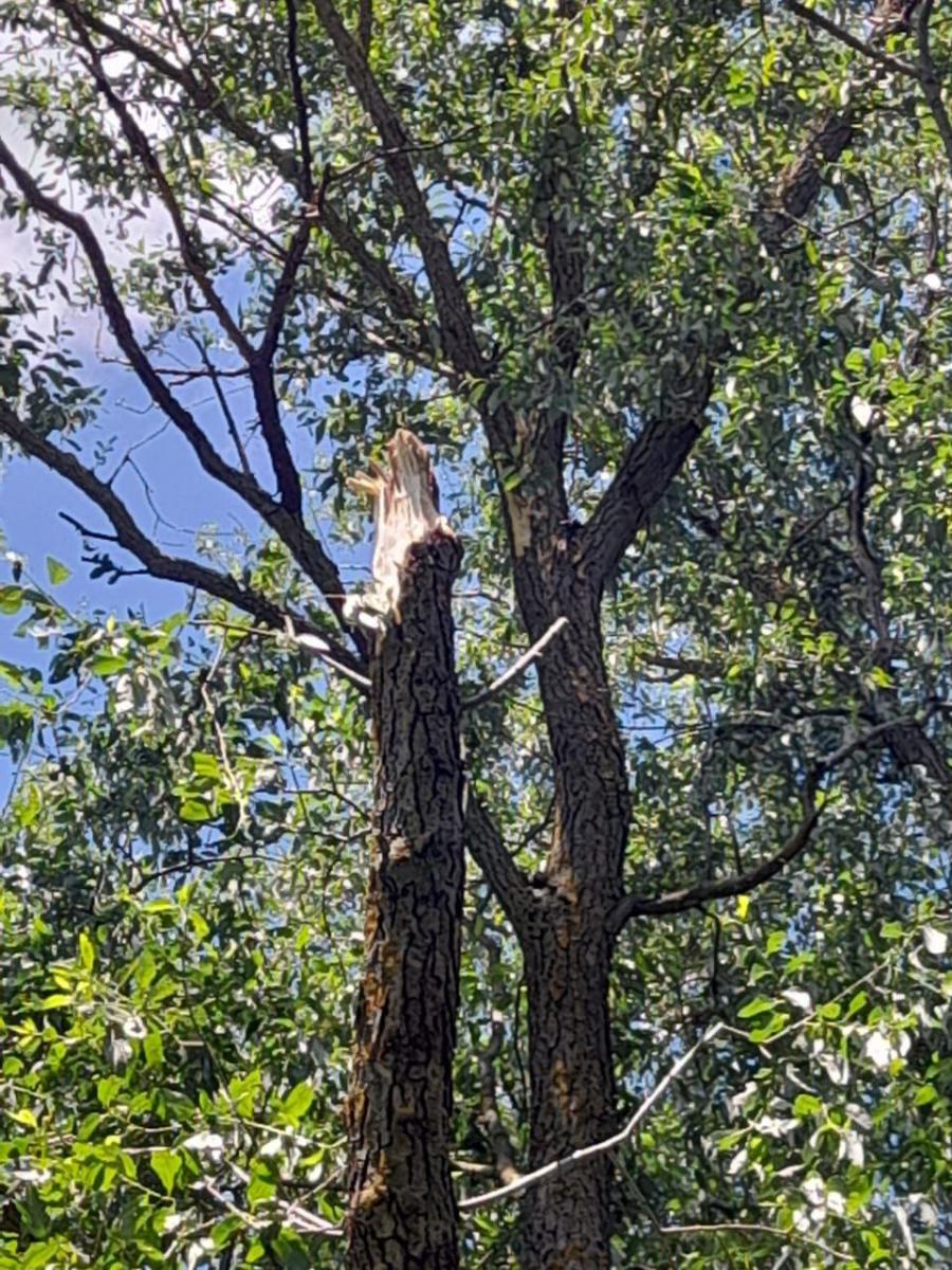 Обломки вражеской ракеты Обломки вражеской ракеты