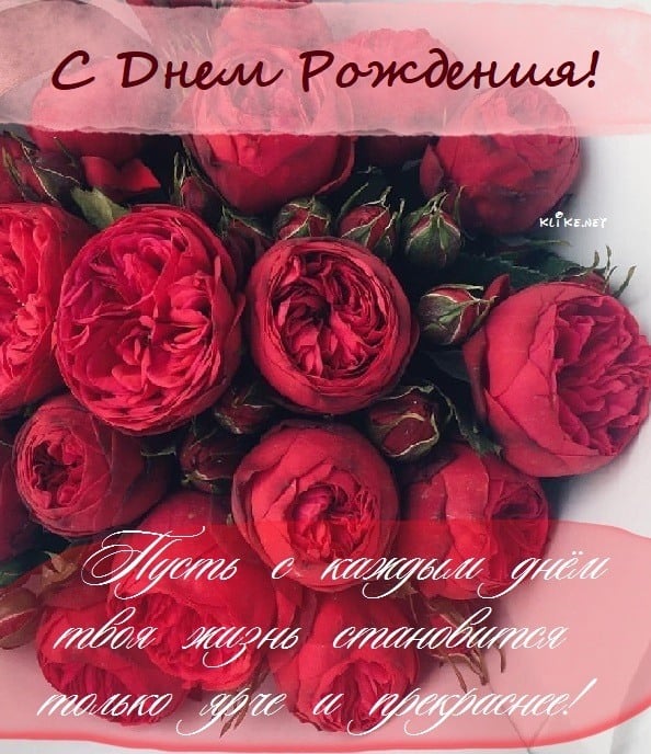 Открытки на день рождения купить оптом от производителя LIFE POSTER