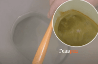 Як зробити унітаз знову білим: прибираємо застарілий наліт і жовтизну