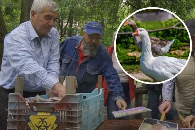 Гусак-термінатор проти 'загону Путіна': українці пригрозили РФ новітньою зброєю з біолабораторій