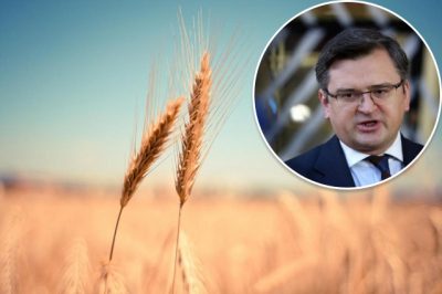 Росія може напасти на Одесу після відновлення експорту зерна - Кулеба