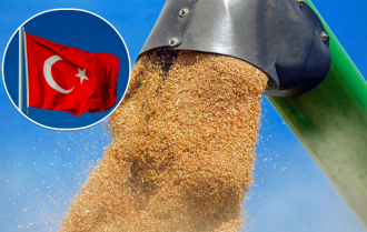 Туреччина, пшениця, 