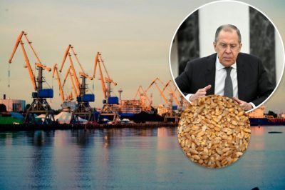 зерно, Лавров, морской порт