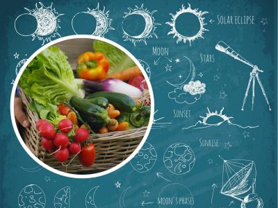 Місячний посівний календар серпень 2022 Місячний посівний календар серпень 2022