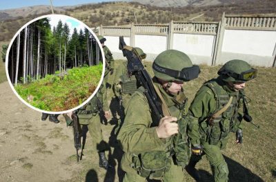 російські військові, ліс, дезертирство