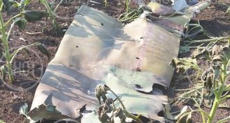 Біля кордону України впав російський штурмовик Су-25, пілот загинув