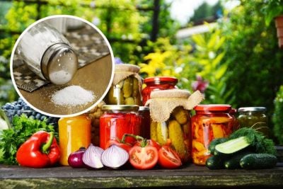 Можно ли консервировать с йодированной солью: как это повлияет на вкус овощей