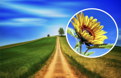 У липні на українців чекає пекельна погода: яким буде екватор літа - прогноз синоптика