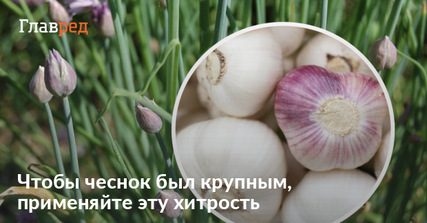 что делать чтоб плод не был крупным