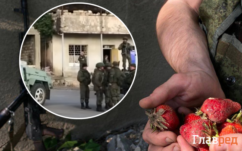 Чтобы не умереть с голода: на Херсонщине оккупанты просятся к местным работать на сборе клубники