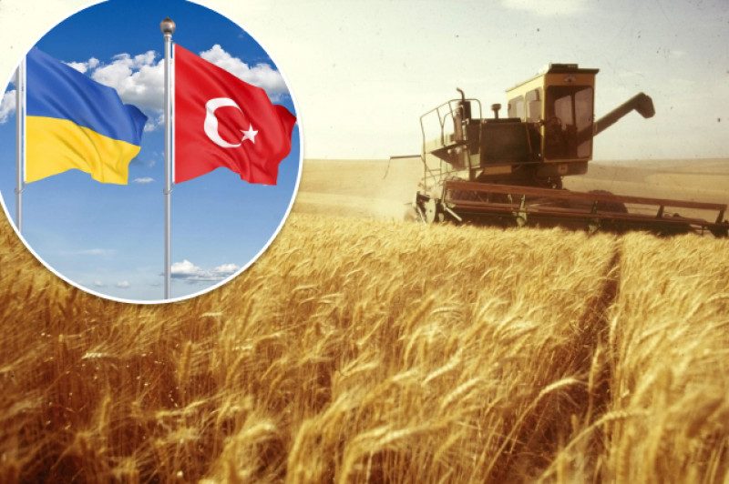 Туреччина незаконно купує вкрадене в Україні зерно – посол