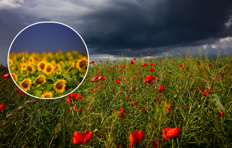 Україну чекає погодна аномалія: синоптик дав прогноз на серпень