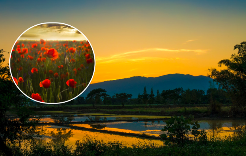 В Україну увірветься антициклон David: синоптики розповіли, коли прийде спека