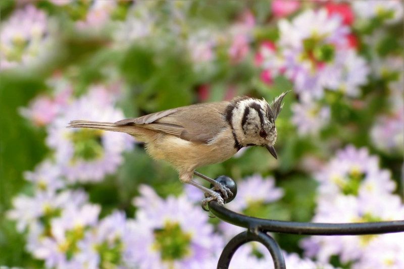 Прикмети на 18 червня: що не можна робити і як не потрапити в біду