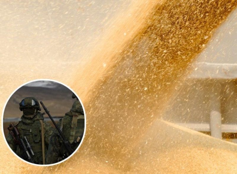 Вывозят сотней грузовиков: россияне под Запорожьем украли большой груз украинского зерна