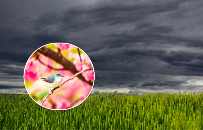 Завалить градом і вдарить нестерпна спека: синоптики дали прогноз на липень