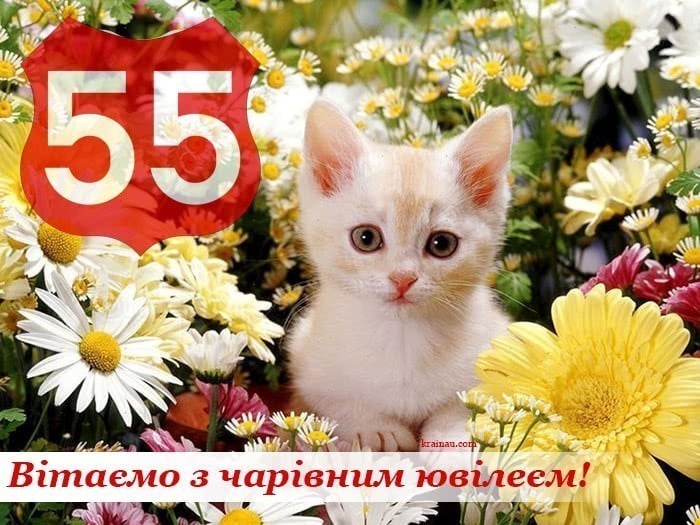 Поздравление женщине 55 лет